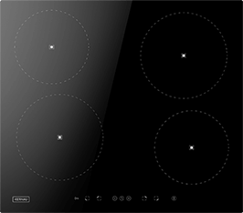 Induktionsfeld Reparatur Rudolstadt